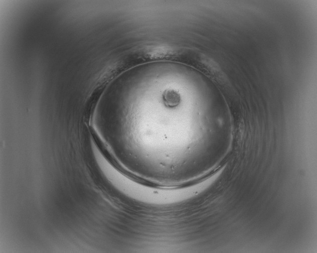 X0000063480691200601201244