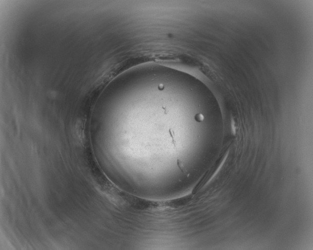 X0000063480695200601201244