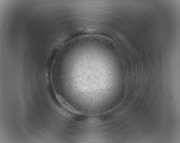 X0000063480696200601201244