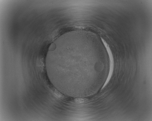 X0000063480707200601201243