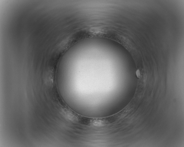 X0000063480710200601201243