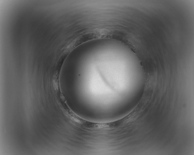 X0000063480719200601201243