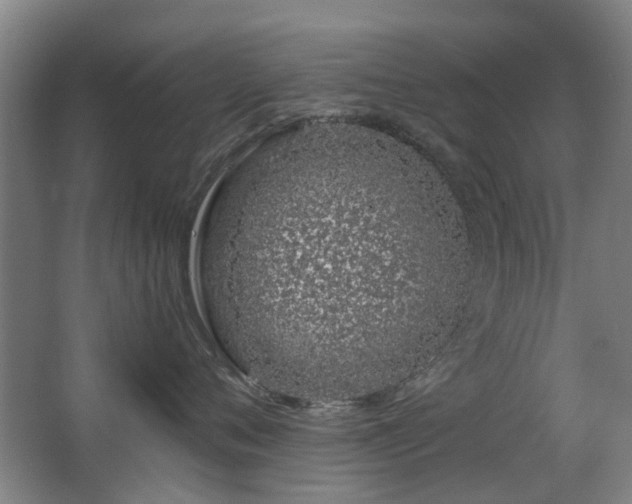 X0000063480720200601201243