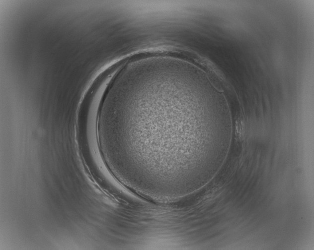 X0000063480724200601201242