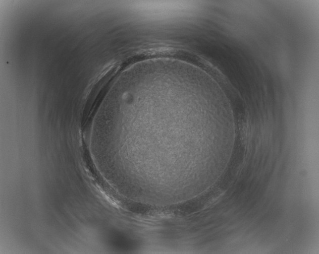 X0000063480729200601201242