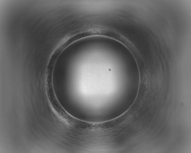 X0000063480730200601201243