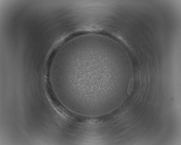 X0000063480736200601201243