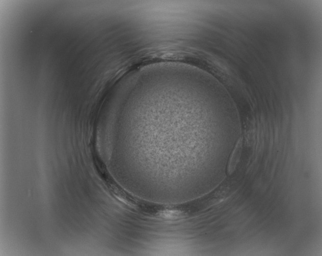 X0000063480748200601201243