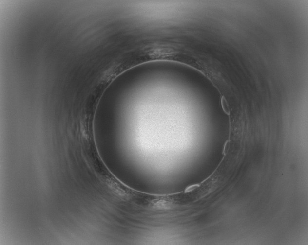 X0000063480755200601201243