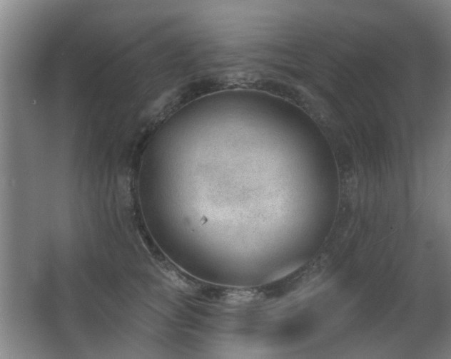 X0000063480757200601201243