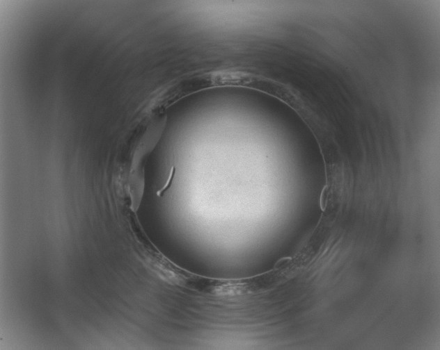 X0000063480761200601201243