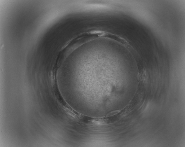 X0000063480763200601201243