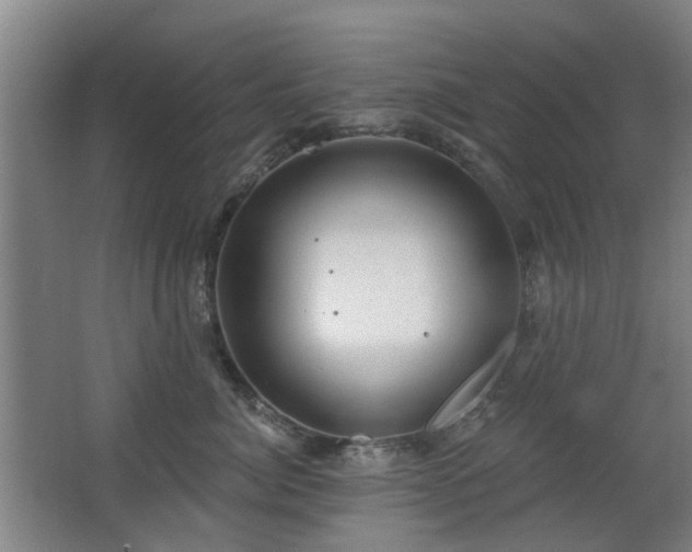 X0000063480764200601201243