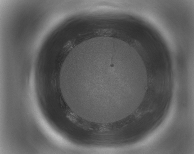 X0000063480765200601201243