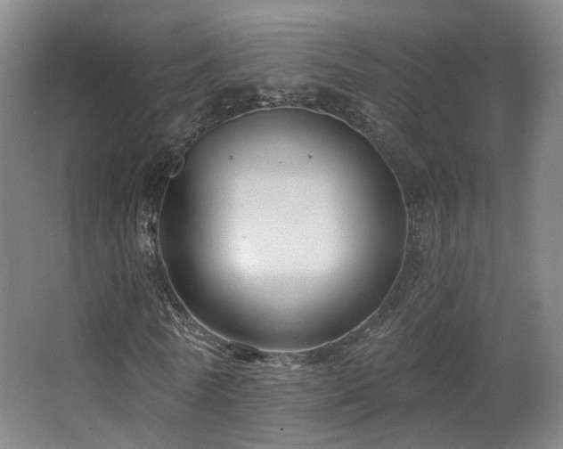 X0000063480770200601201242