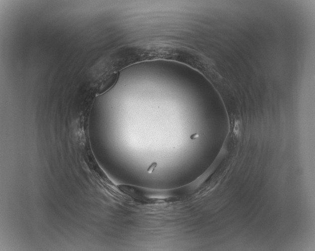 X0000063480771200601201242