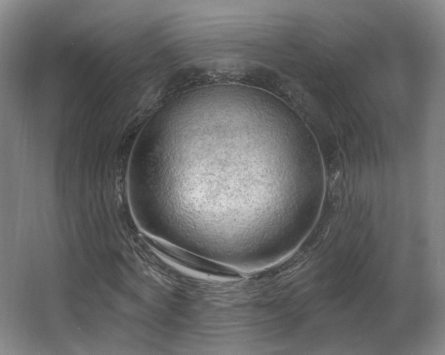 X0000063480772200601201242