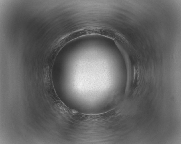 X0000063480773200601201242