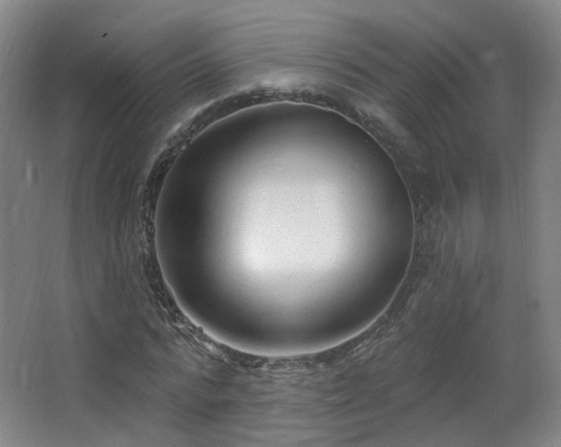 X0000063480776200601201242