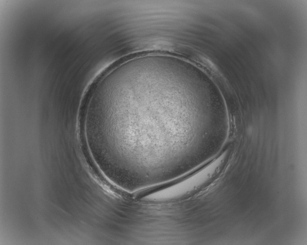 X0000063480780200601201242