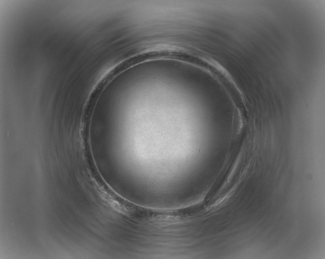X0000063480783200601201242