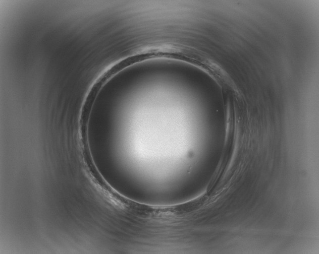 X0000063480784200601201242