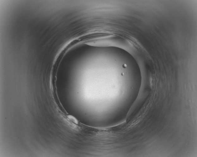X0000063480788200601201242