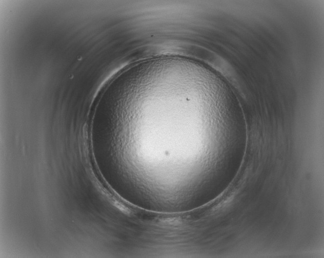 X0000063480798200601201242