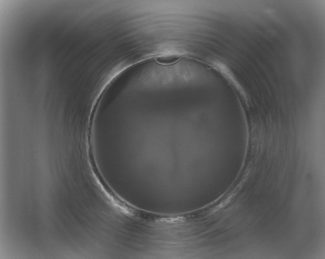 X0000063480810200601201242