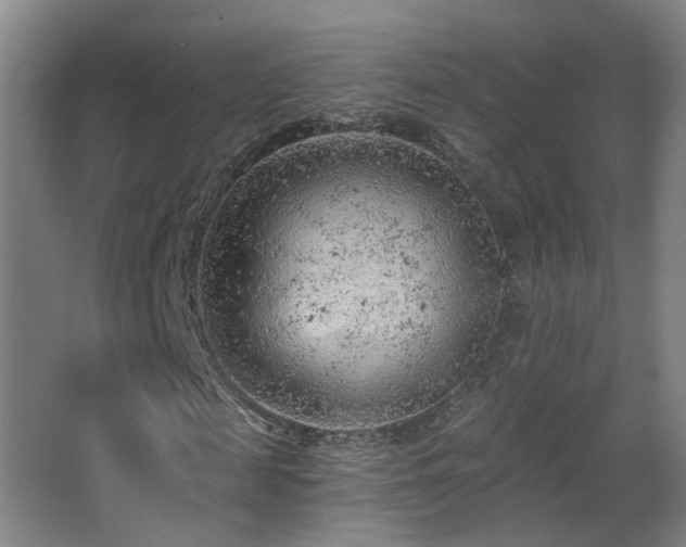 X0000063480817200601201241