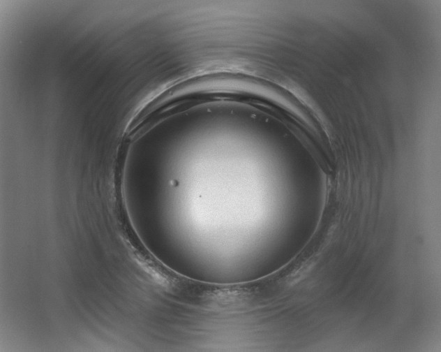 X0000063480834200601201241