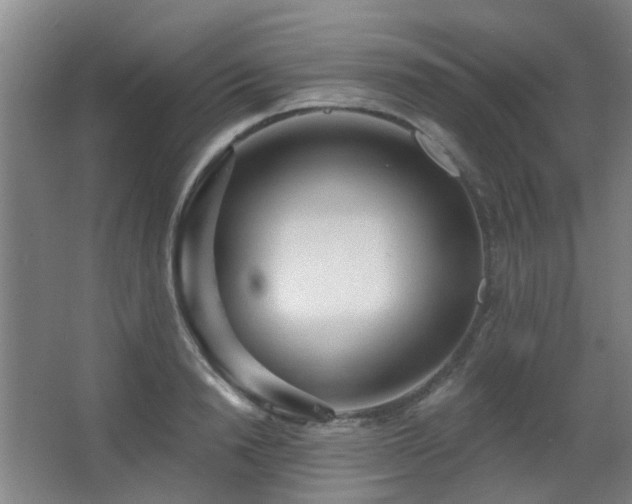 X0000063480846200601201241