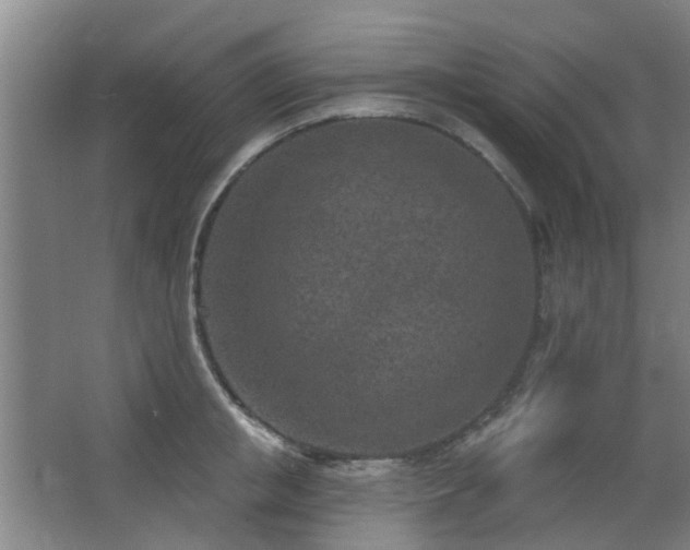 X0000063480853200601201241