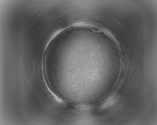 X0000063480855200601201241