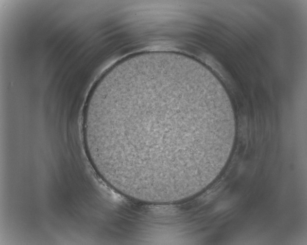 X0000063480856200601201241