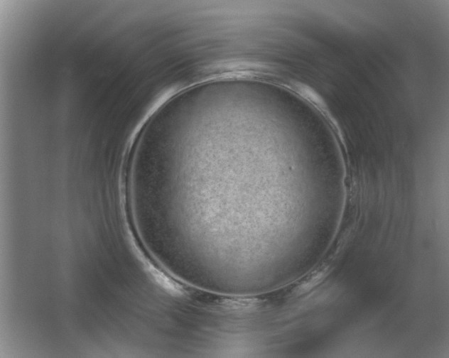 X0000063480859200601201241