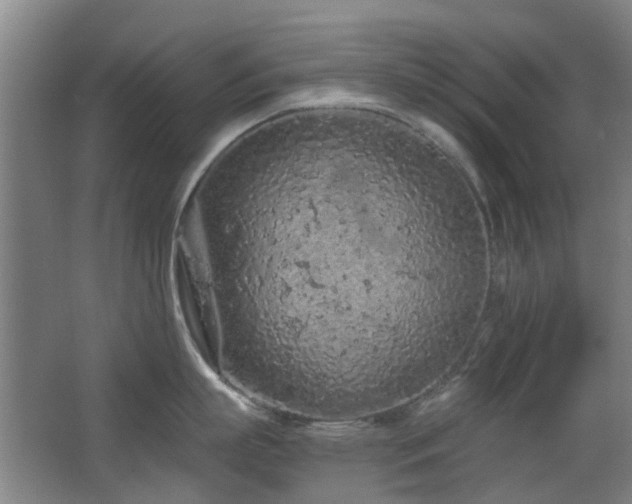 X0000063480863200601201241