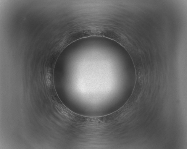 X0000063480866200601201241