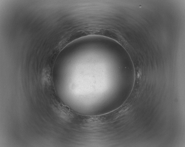 X0000063480867200601201241