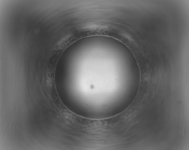 X0000063480869200601201241
