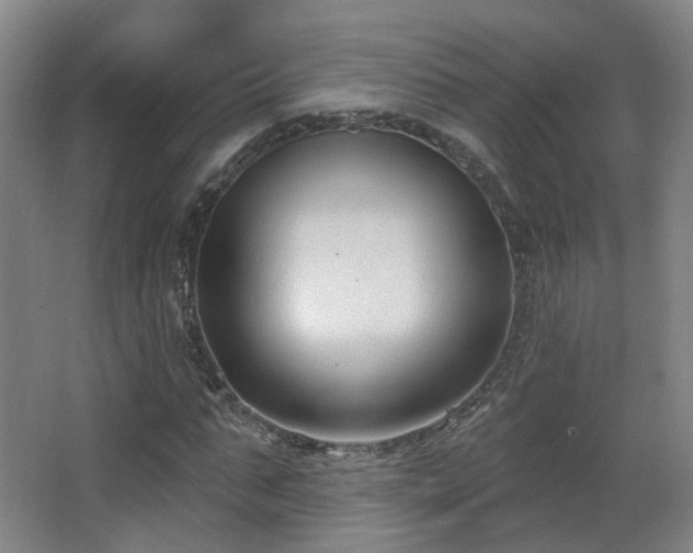 X0000063480871200601201241
