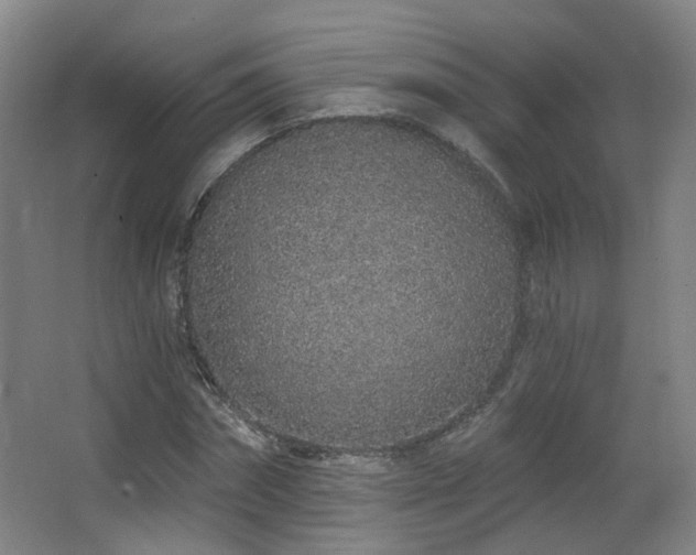 X0000063480874200601201241