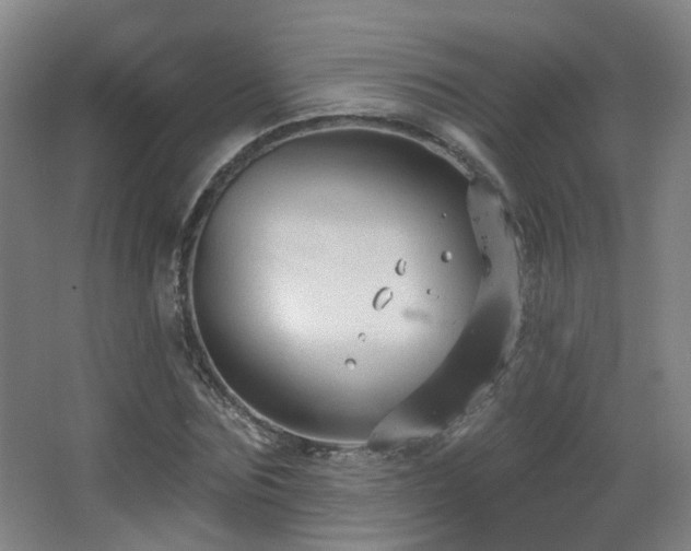 X0000063480875200601201241