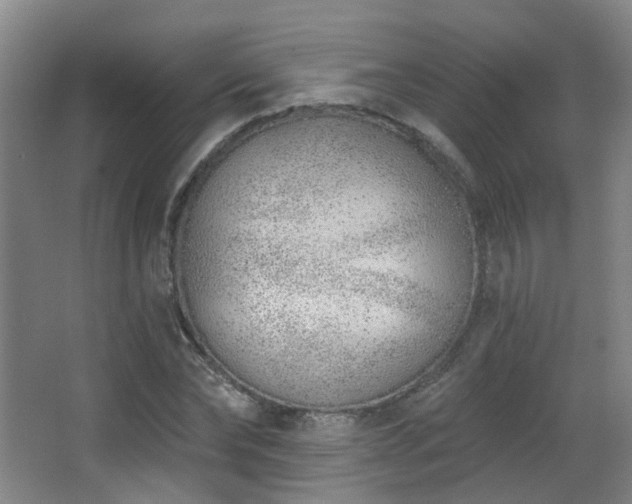 X0000063480878200601201240