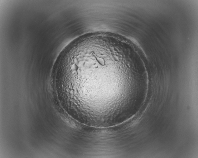 X0000063480879200601201240