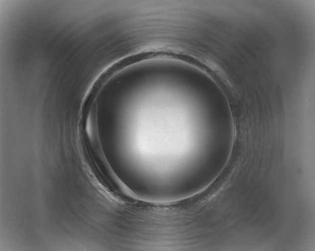 X0000063480880200601201240