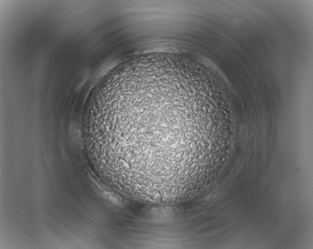 X0000063480882200601201240