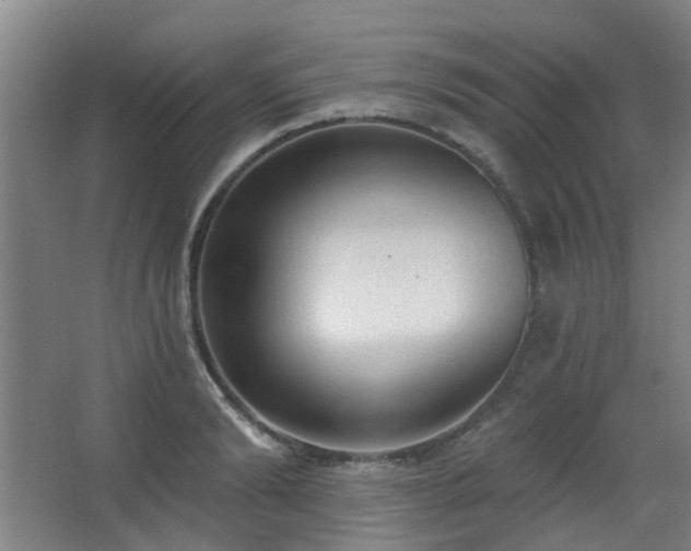 X0000063480894200601201240