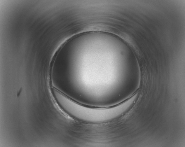 X0000063480896200601201240