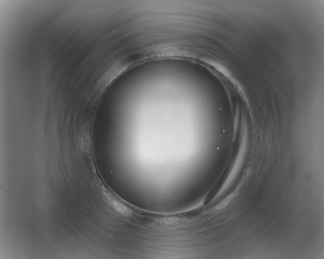 X0000063480897200601201240